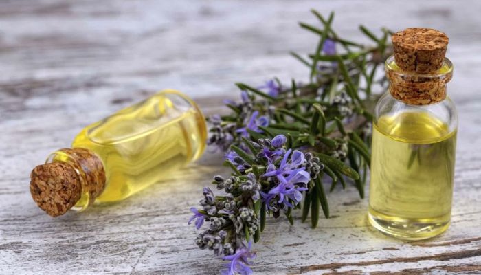 Tinh dầu Trung Quốc là gì? Cách nhập sỉ tinh dầu Trung Quốc