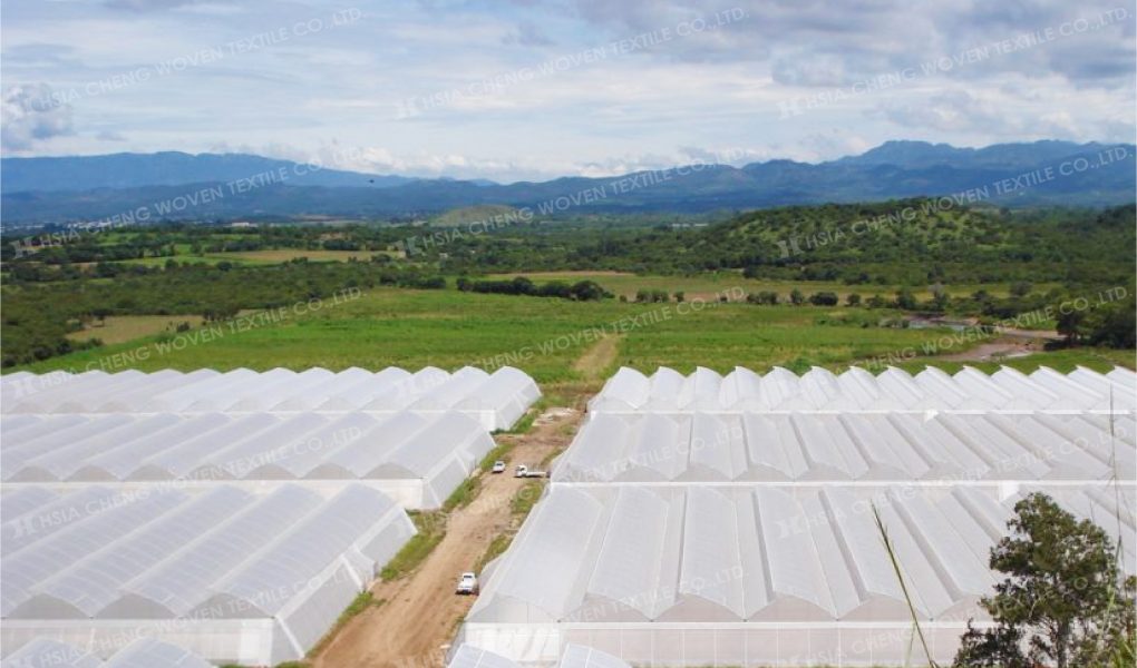 Top 10 doanh nghiệp cung cấp lưới nông nghiệp Đài Loan chính hãng