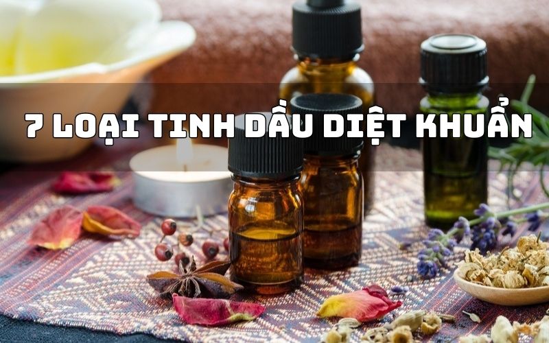 7+ Loại Tinh Dầu Diệt Khuẩn, Sát Khuẩn Cực Tốt Mà Bạn Cần Biết