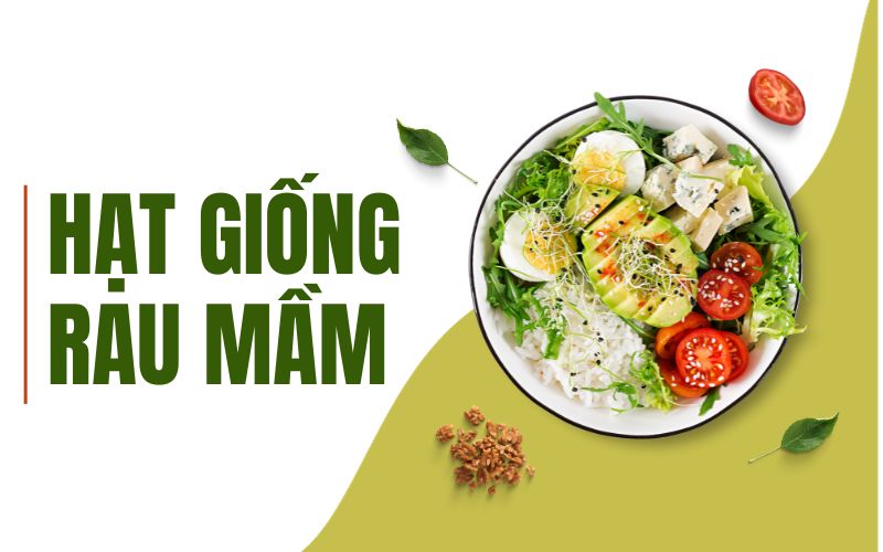 Top 10 Hạt Giống Rau Mầm Dễ Trồng, Bổ Dưỡng Cho Sức Khỏe