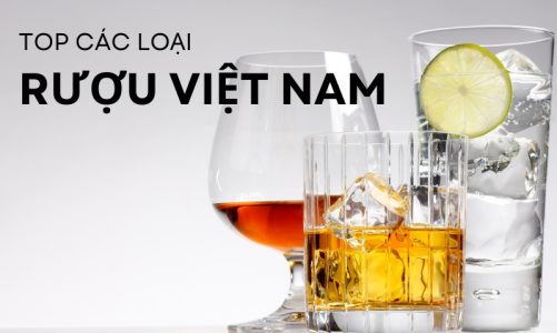 top rượu việt nam ngon nhất