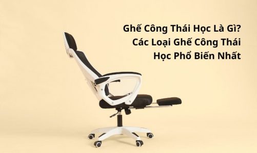 ghế công thái học là gì