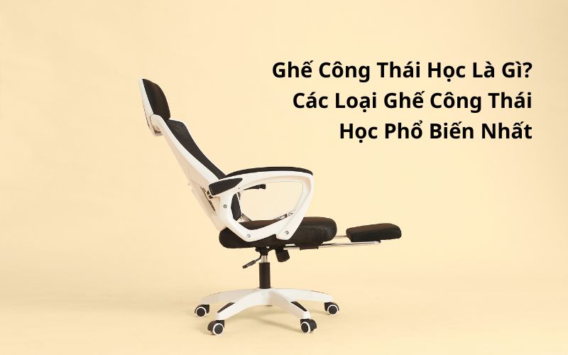 ghế công thái học là gì