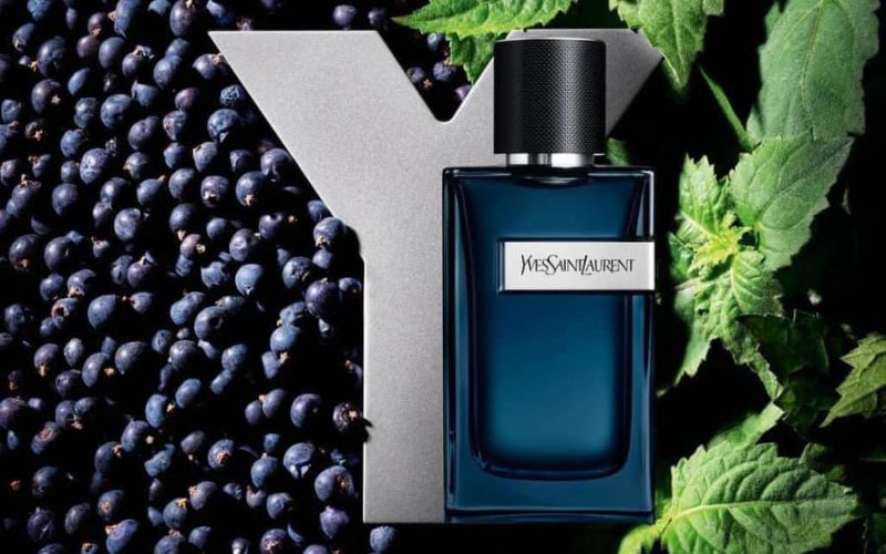 Nước hoa Yves Saint Laurent Y EDP