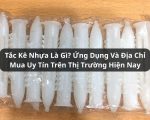 tắc kê nhựa