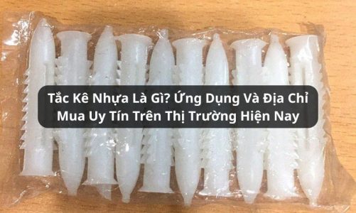 tắc kê nhựa