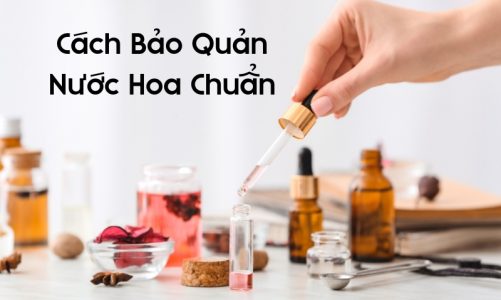 Cách Bảo Quản Nước Hoa Chuẩn Nhất Và Địa Chỉ Mua Chính Hãng