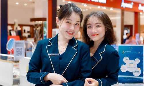 Review Và So Sánh Ghế Văn Phòng Trước Khi Chọn Mua